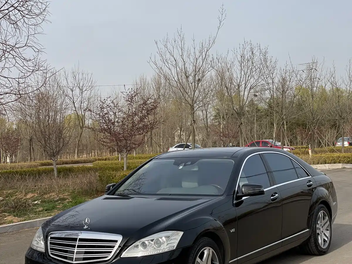 Mercedes-Benz S-Class 2010 S 600 L фото 3