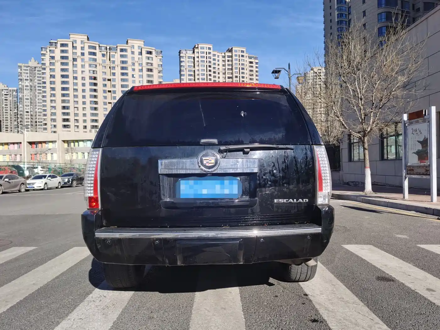 Cadillac Escalade 2010 6.0 Hybrid фото 6
