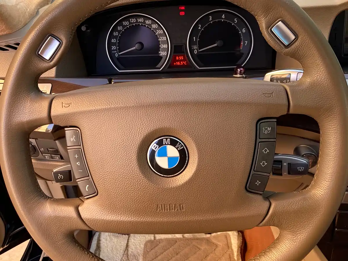 BMW 7 Series 2009 730Li Leading фото 17