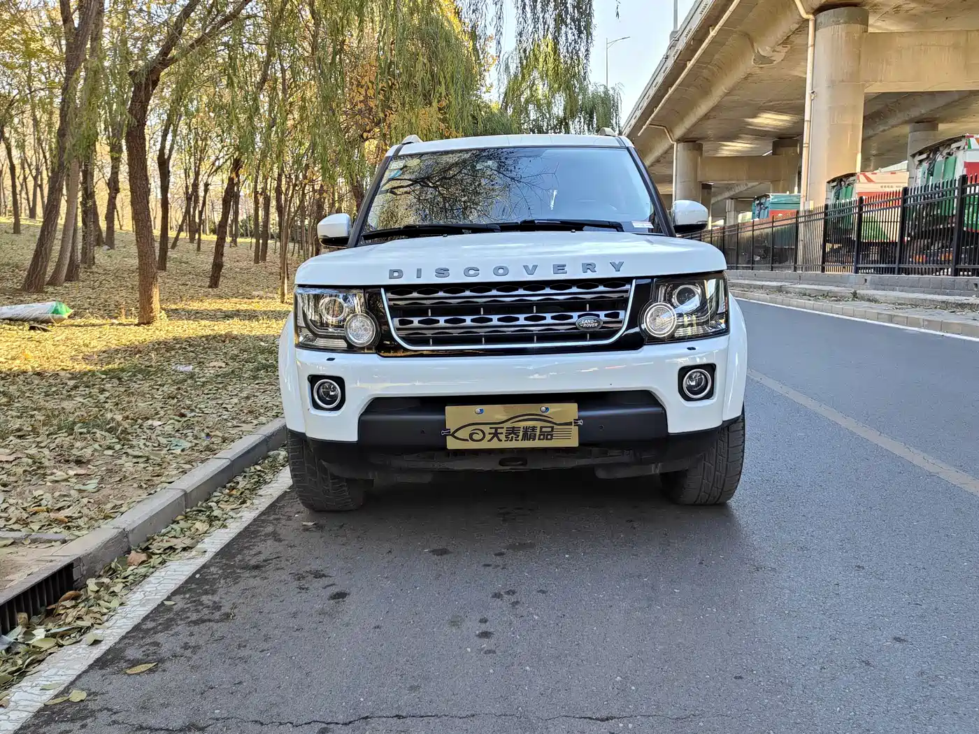 Land Rover Discovery 2016 3.0 SC Black Edition SE фото 2