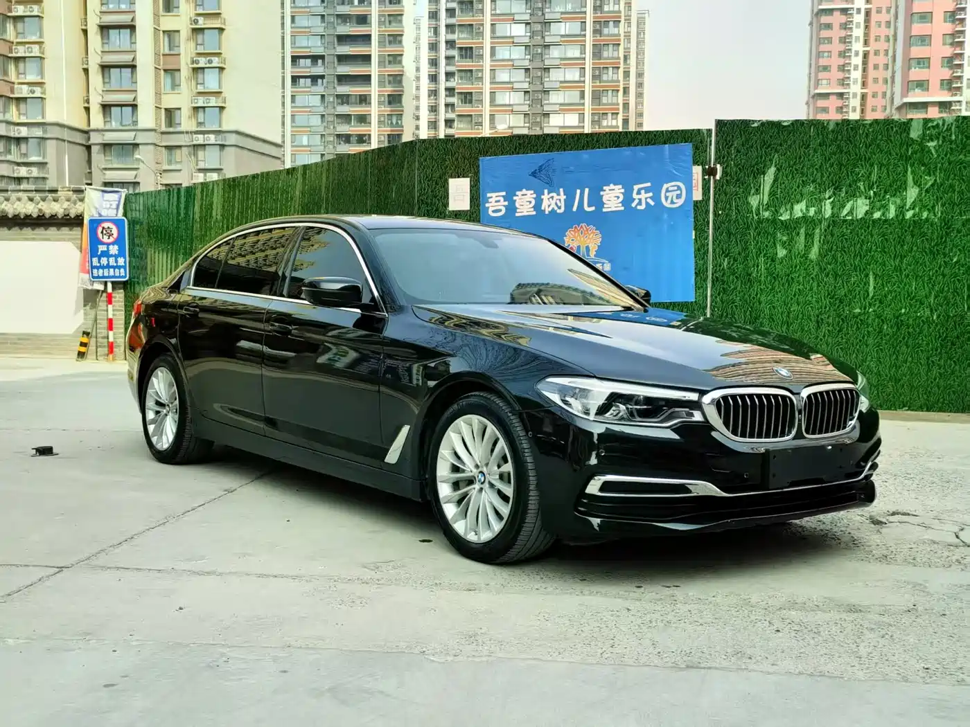 BMW 5 Series 2020 530Li Leading Luxury Package фото 3