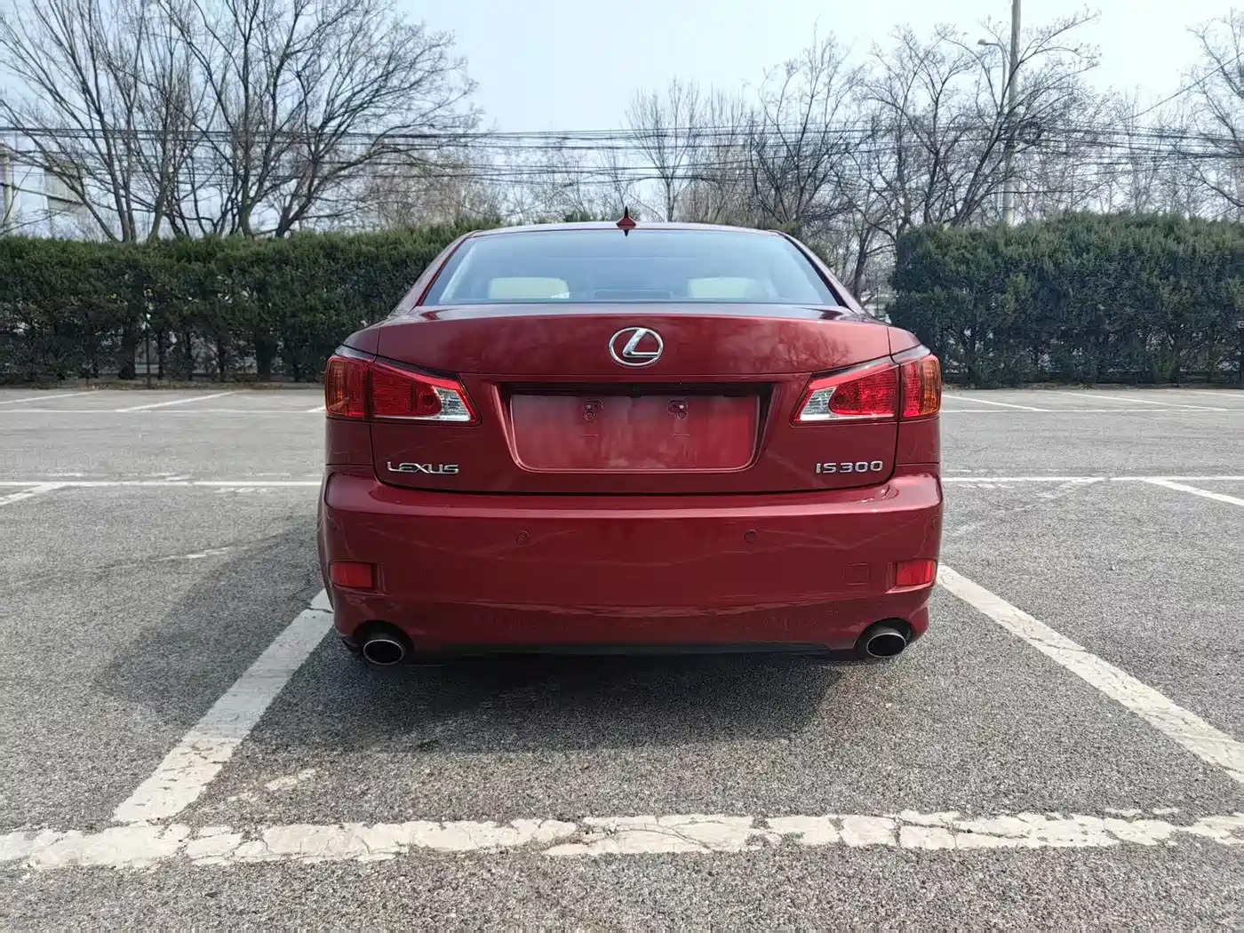 Lexus IS 2009 300 Dynamic Edition фото 5