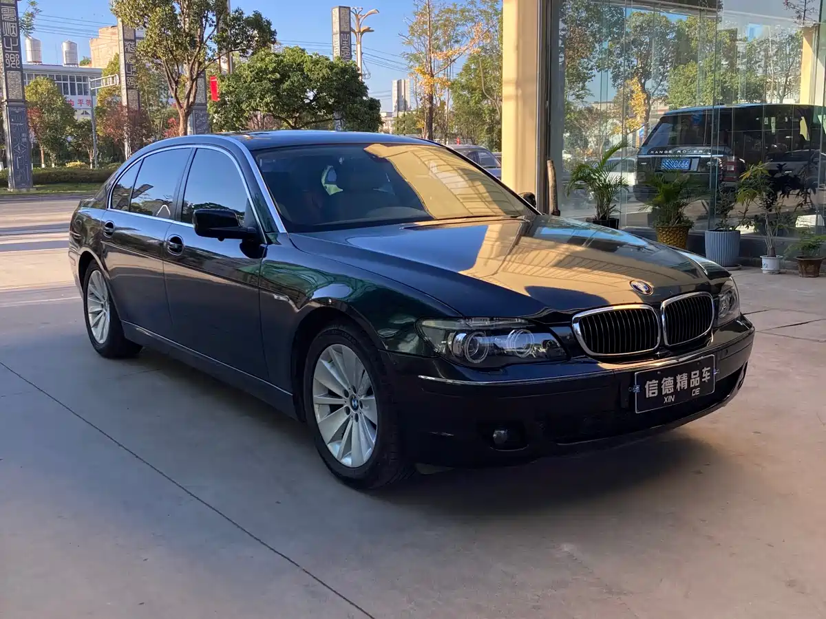 BMW 7 Series 2009 730Li Leading фото 2