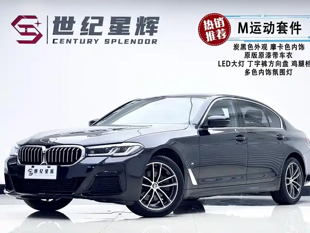 BMW 5 SERIES