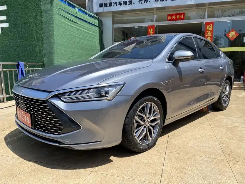 BYD Qin PLUS 2023 Champion Edition DM-i 120KM Leading Type фото 6