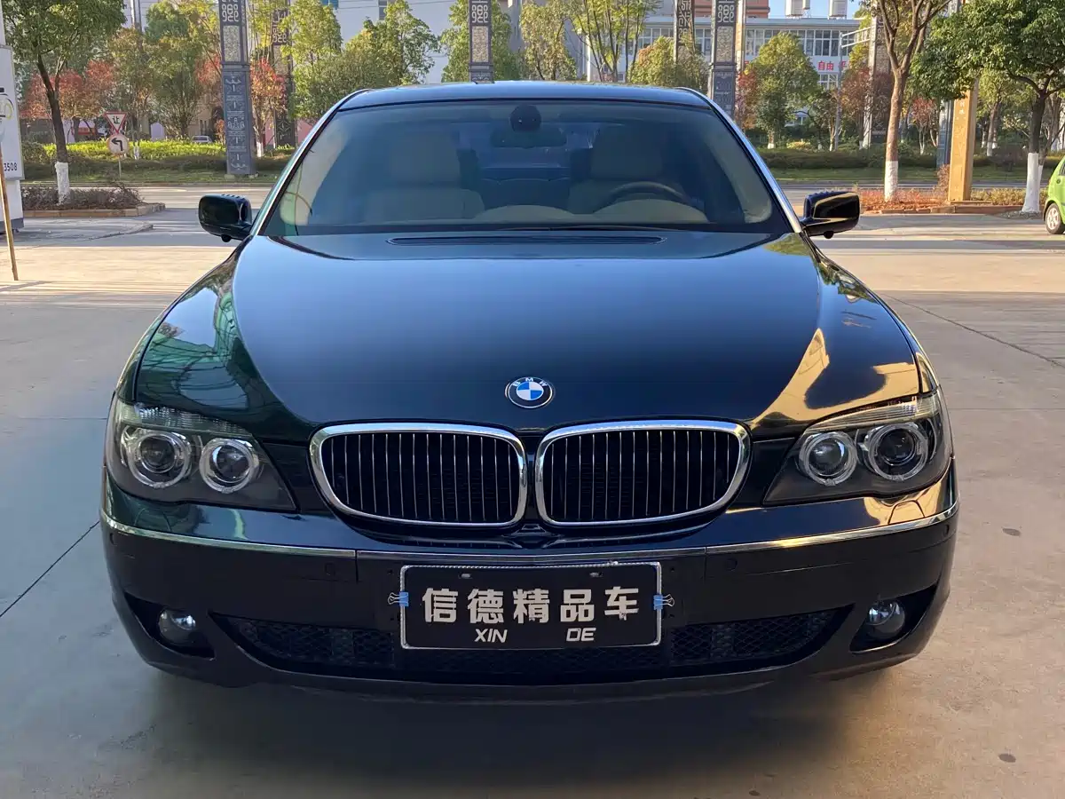 BMW 7 Series 2009 730Li Leading