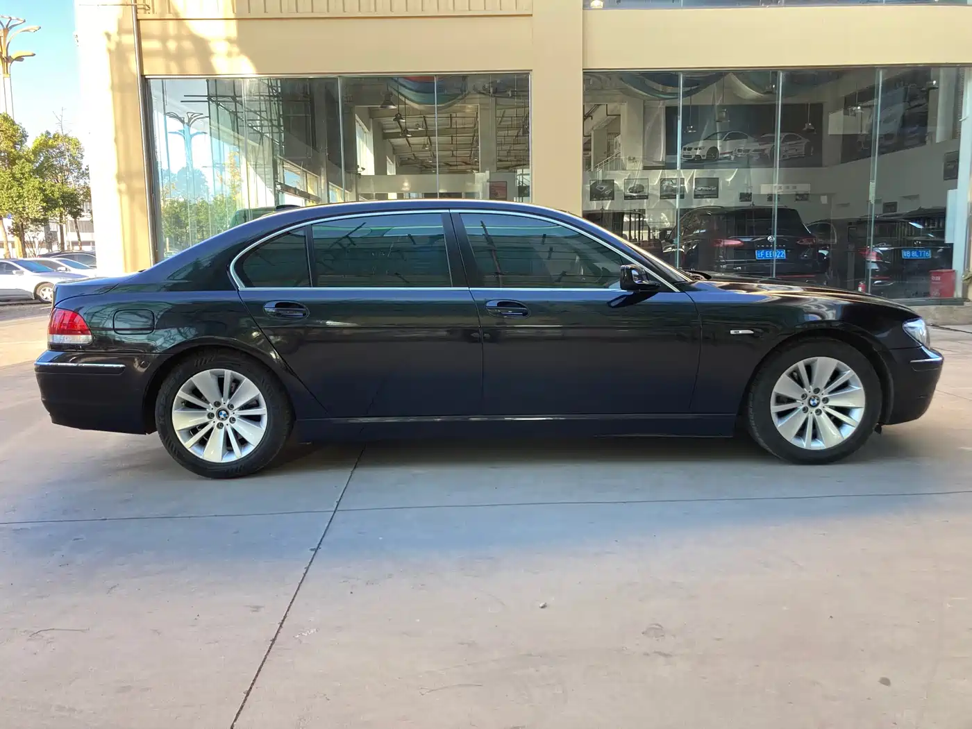 BMW 7 Series 2009 730Li Leading фото 4
