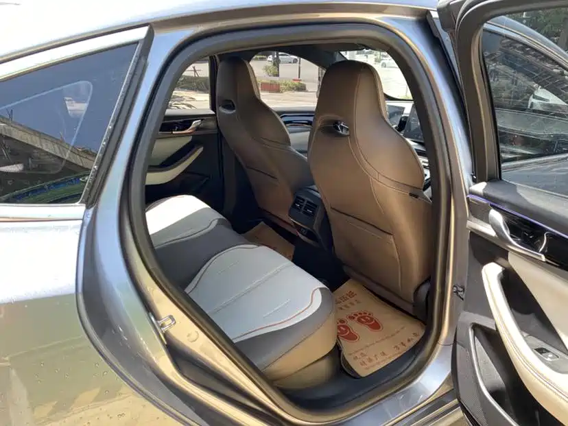 BYD Qin PLUS 2023 Champion Edition DM-i 120KM Leading Type фото 10