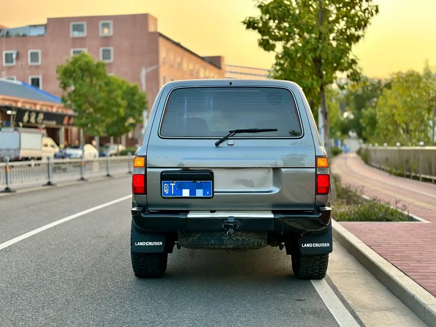 Toyota Land Cruiser (Import) фото 9