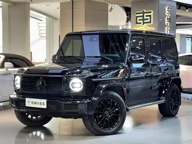 MERCEDES-BENZ G CLASS