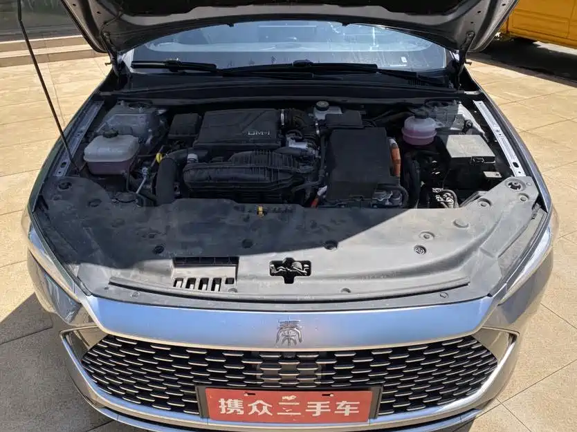 BYD Qin PLUS 2023 Champion Edition DM-i 120KM Leading Type фото 18