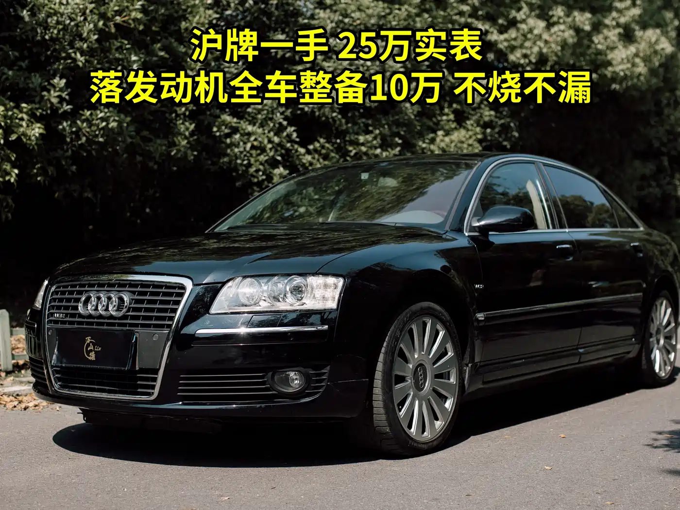Audi A8 2006 A8L 6.0 W12 quattro Flagship