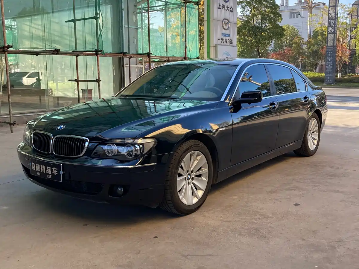 BMW 7 Series 2009 730Li Leading фото 3