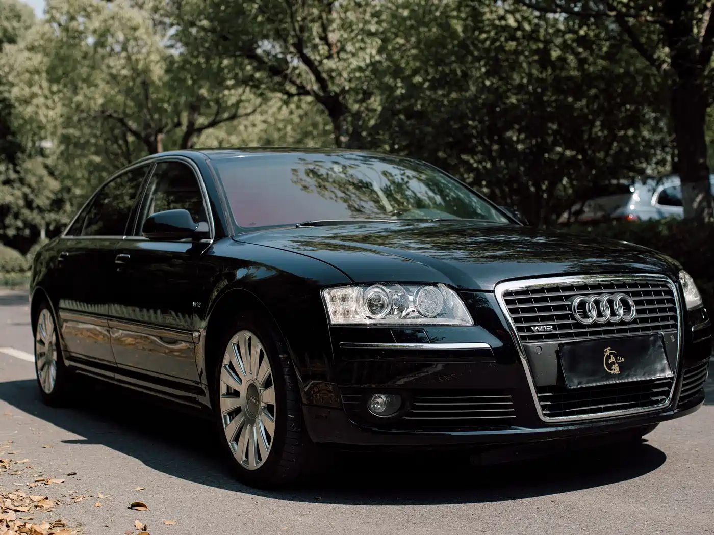 Audi A8 2006 A8L 6.0 W12 quattro Flagship фото 2
