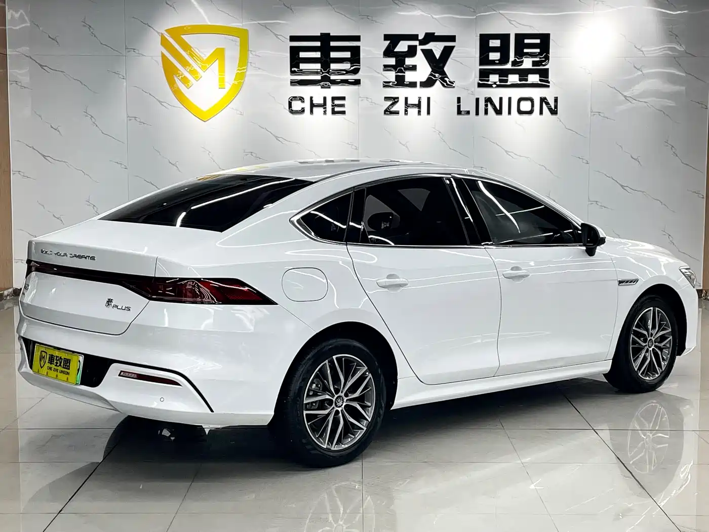BYD Qin PLUS 2023 Champion Edition DM-i 120KM Leading Type фото 6