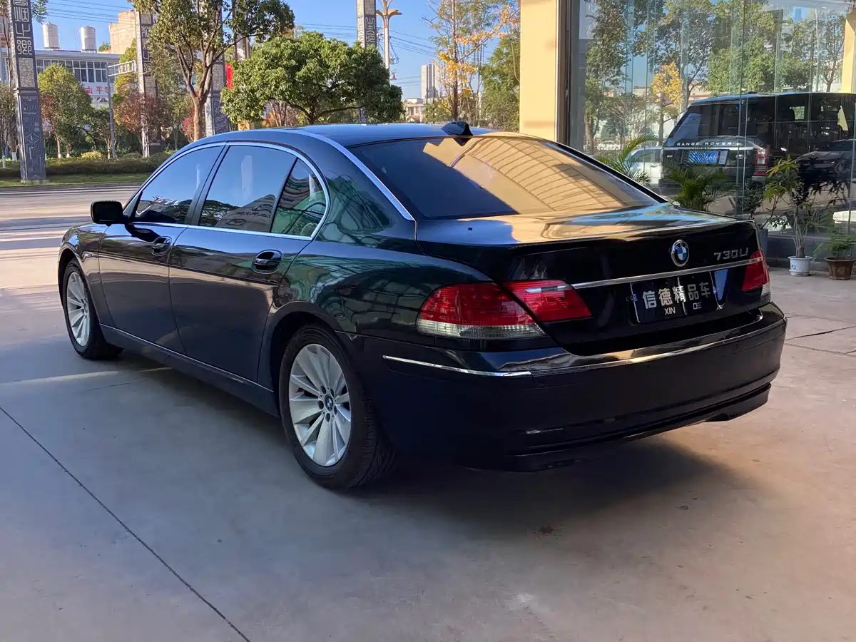 BMW 7 Series 2009 730Li Leading фото 5