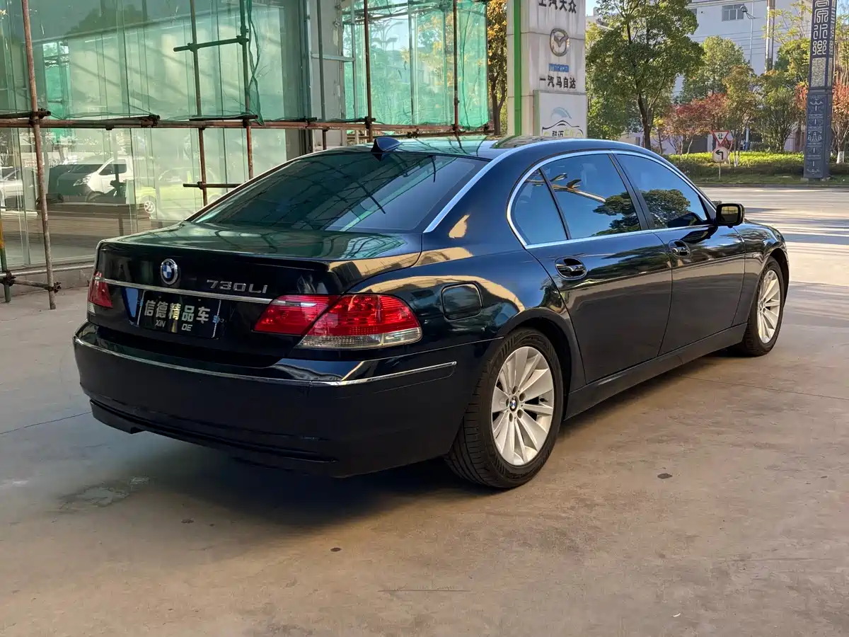 BMW 7 Series 2009 730Li Leading фото 7