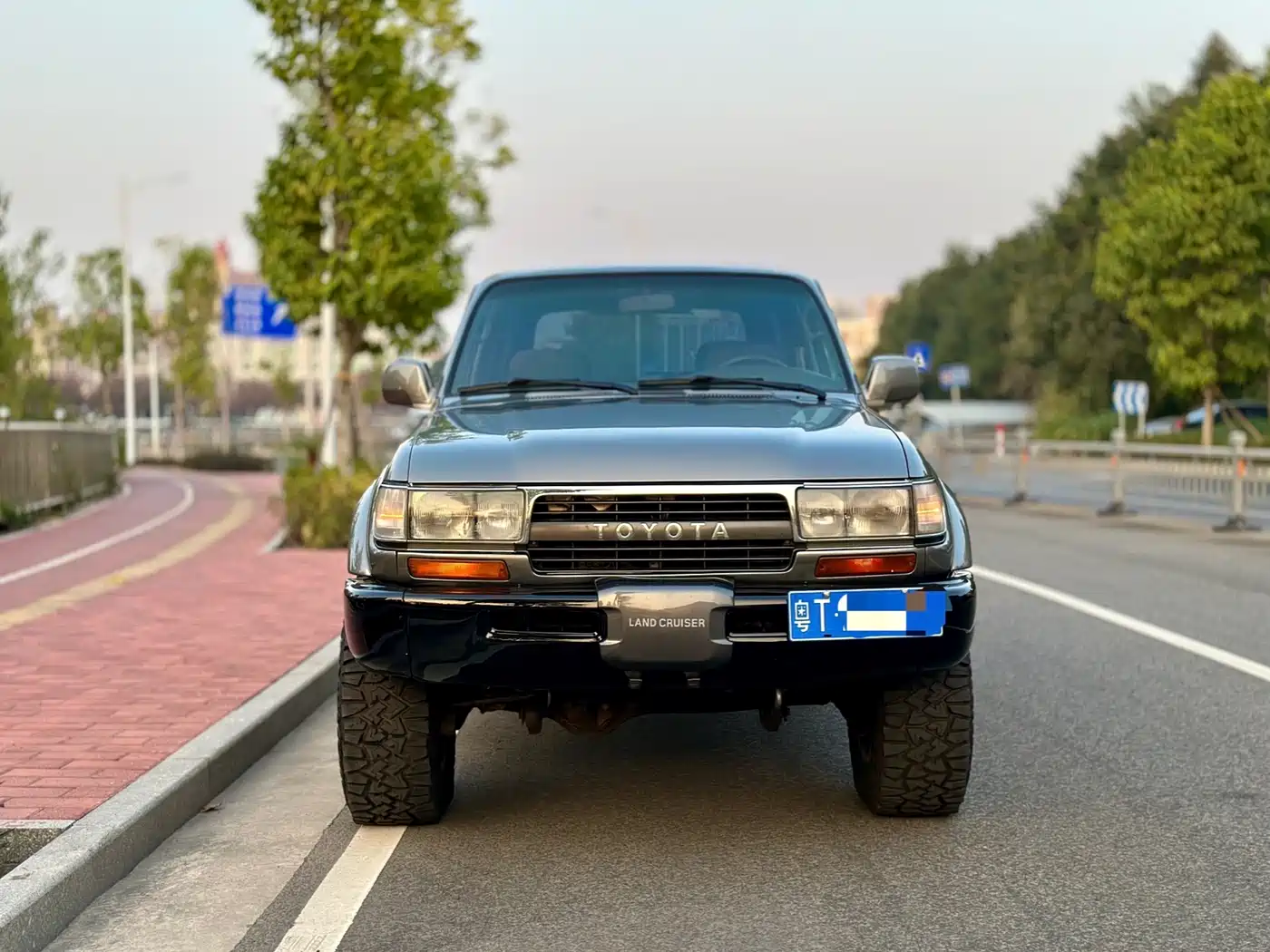 Toyota Land Cruiser (Import) фото 2