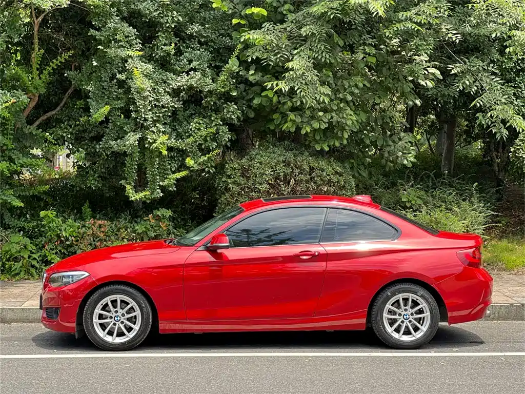 BMW 2 Series (Import) 2015 218i фото 5