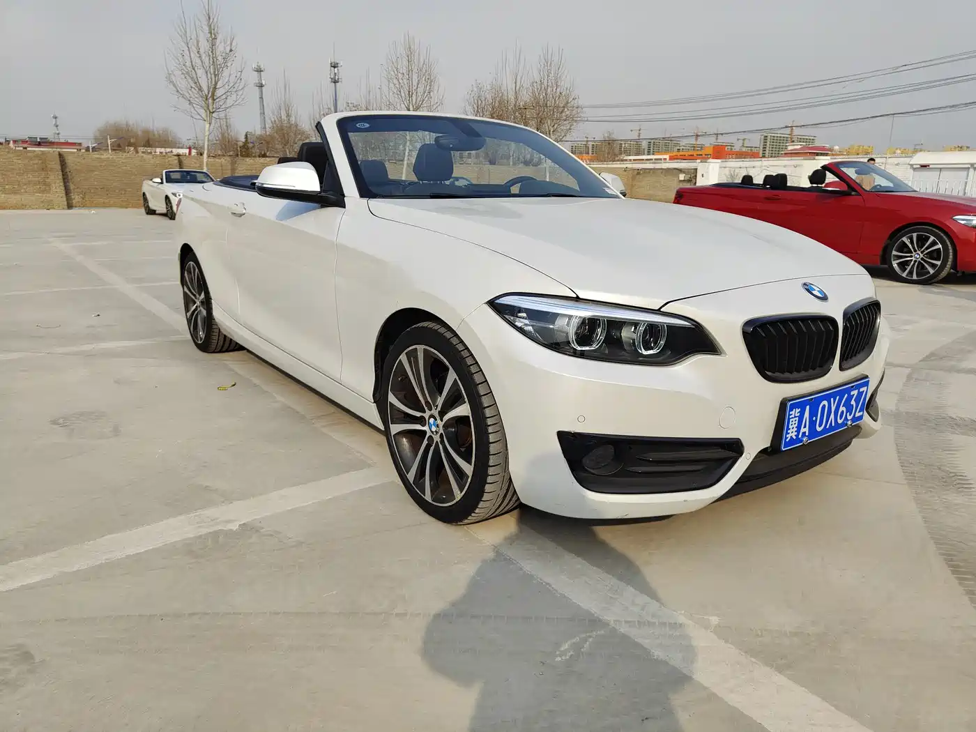 BMW 2 Series (Import) 2019 225i Convertible Coupe Sport Design Package фото 2