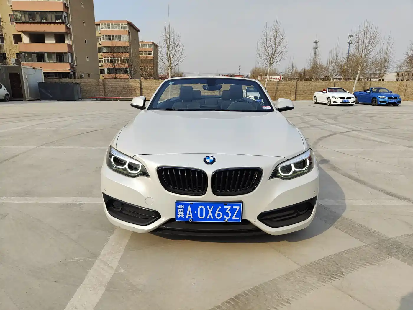 BMW 2 Series (Import) 2019 225i Convertible Coupe Sport Design Package фото 3