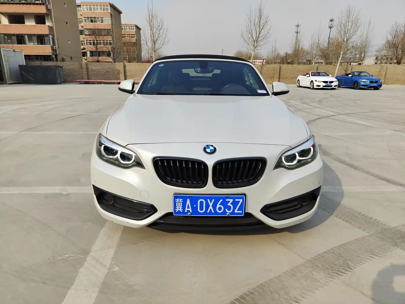 BMW 2 Series (Import) 2019 225i Convertible Coupe Sport Design Package фото 12