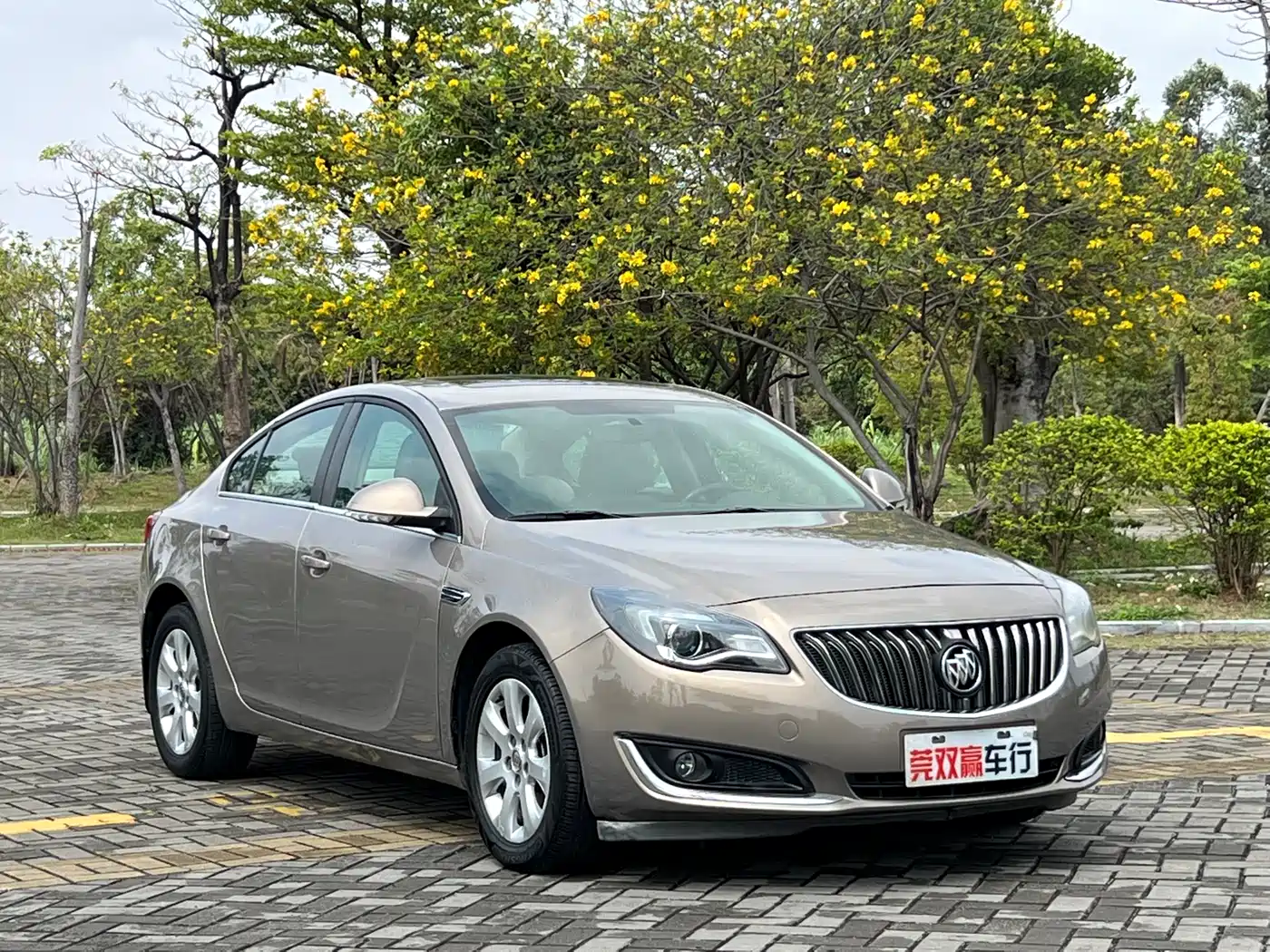 Buick Regal 2014 2.0L Leading Fashion Type фото 3