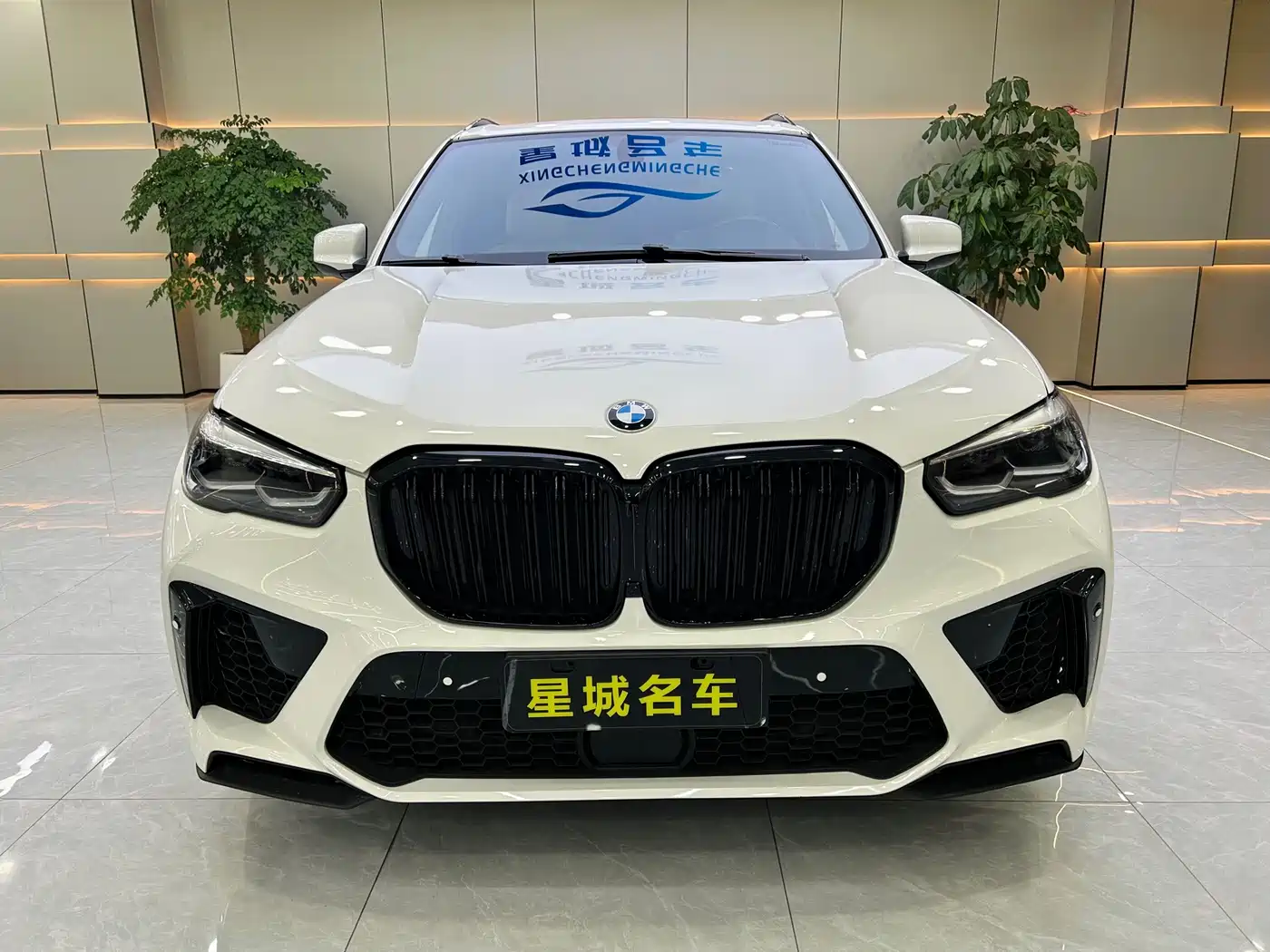 BMW X5 M 2013 X5 M фото 3