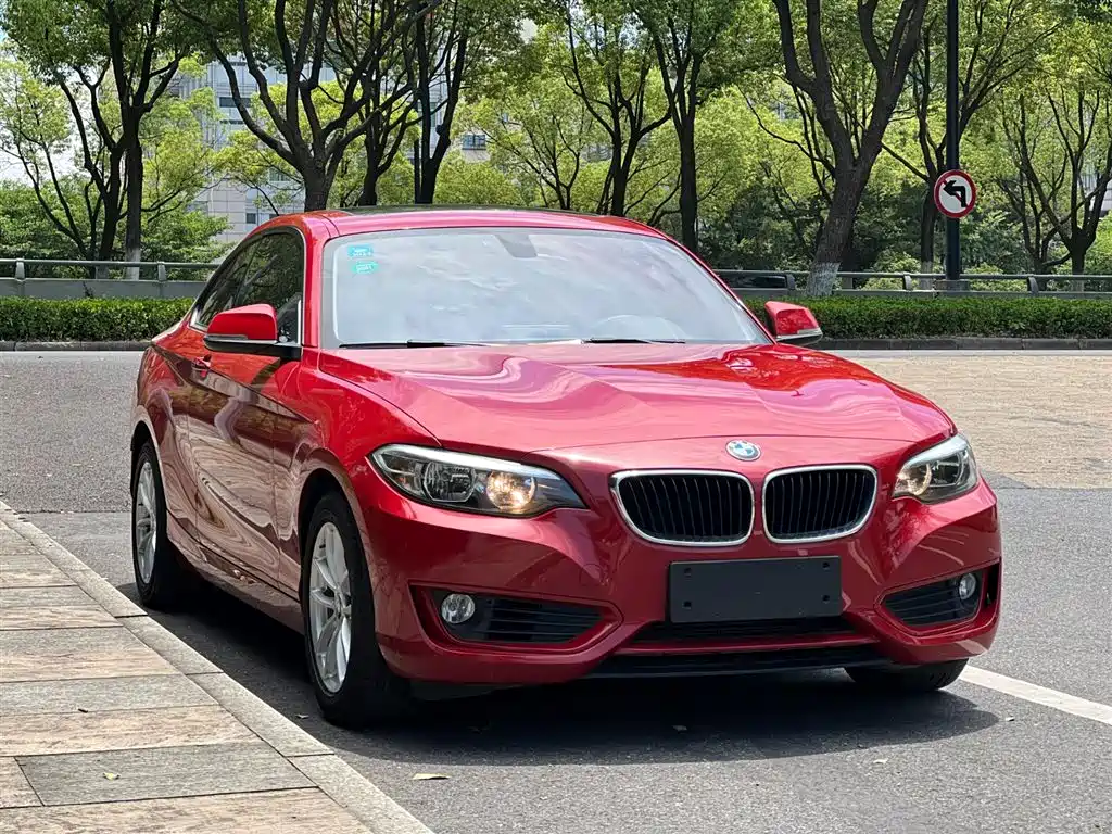BMW 2 Series (Import) 2015 218i фото 3