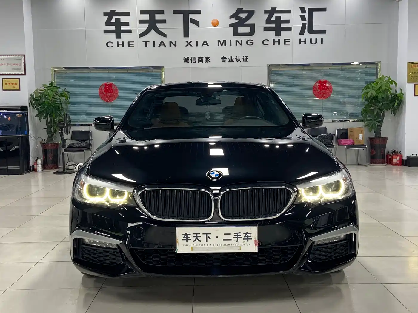 BMW 5 Series 2018 530Li Leading M Sport Package фото 2