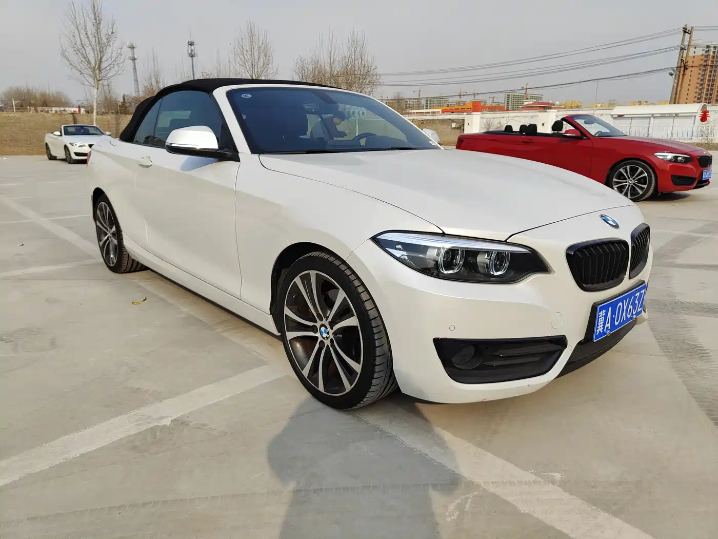 BMW 2 Series (Import) 2019 225i Convertible Coupe Sport Design Package фото 10