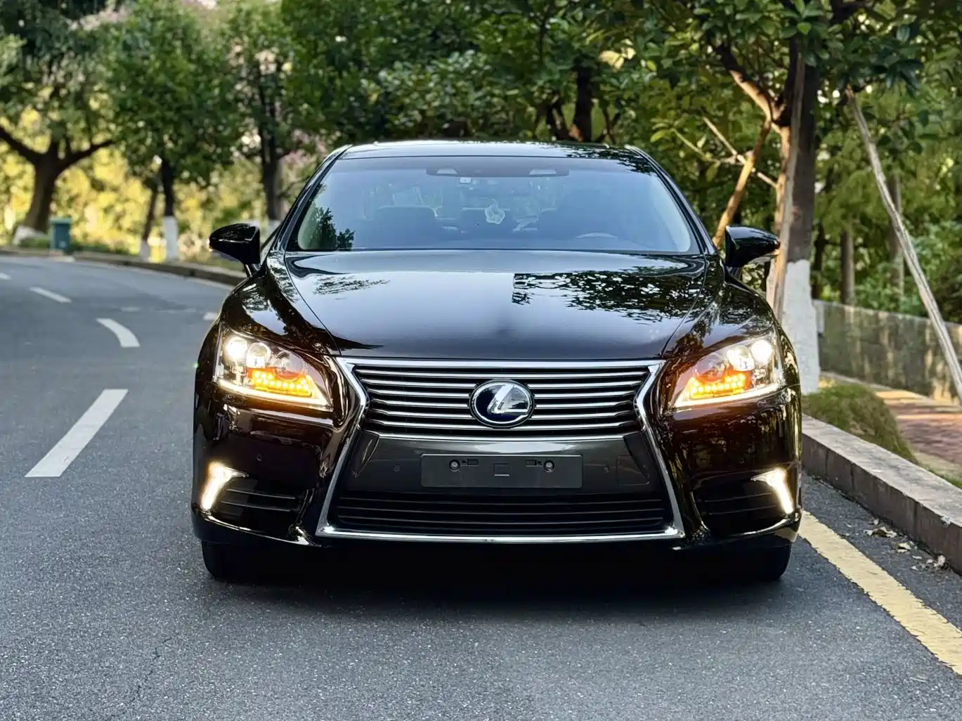 Lexus LS 2014 600hL фото 2