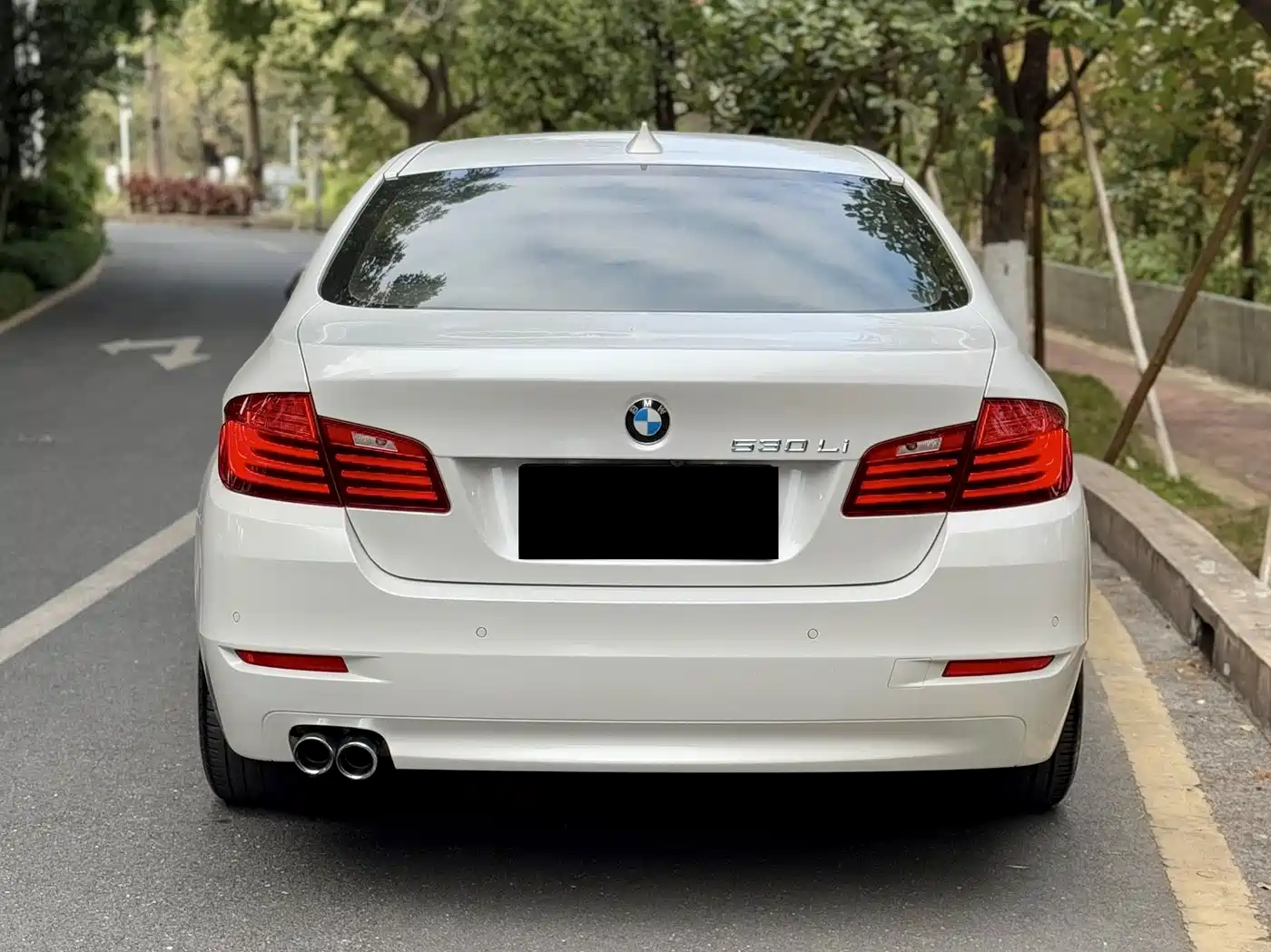 BMW 5 Series 2014 530Li Leading фото 4