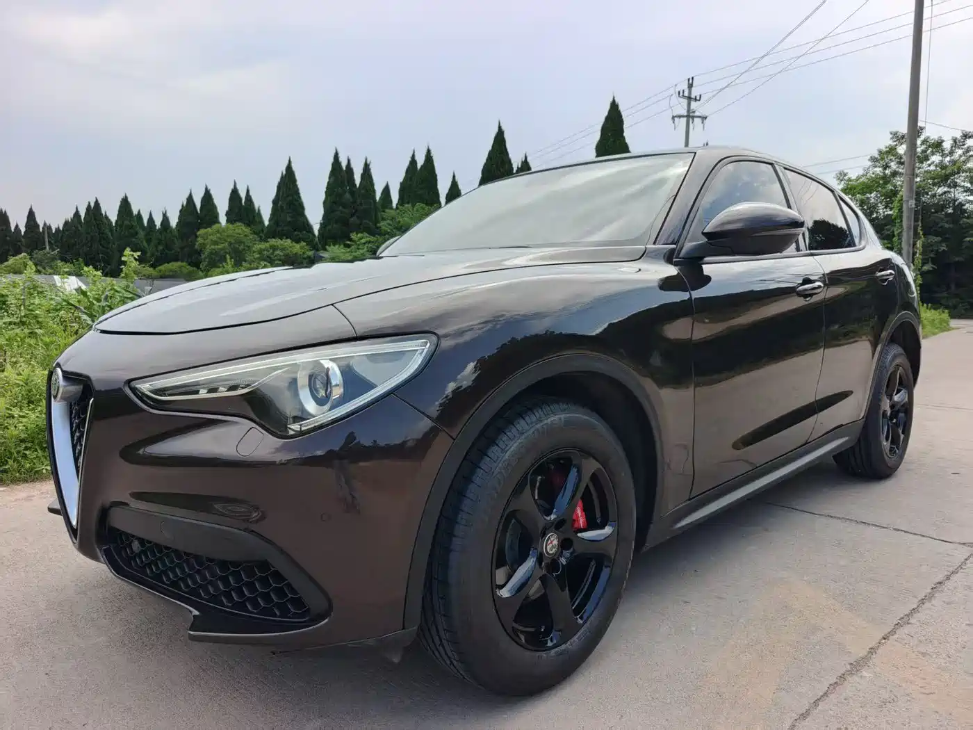 Alfa Romeo Stelvio 2019 2017 2.0T 200HP Elite