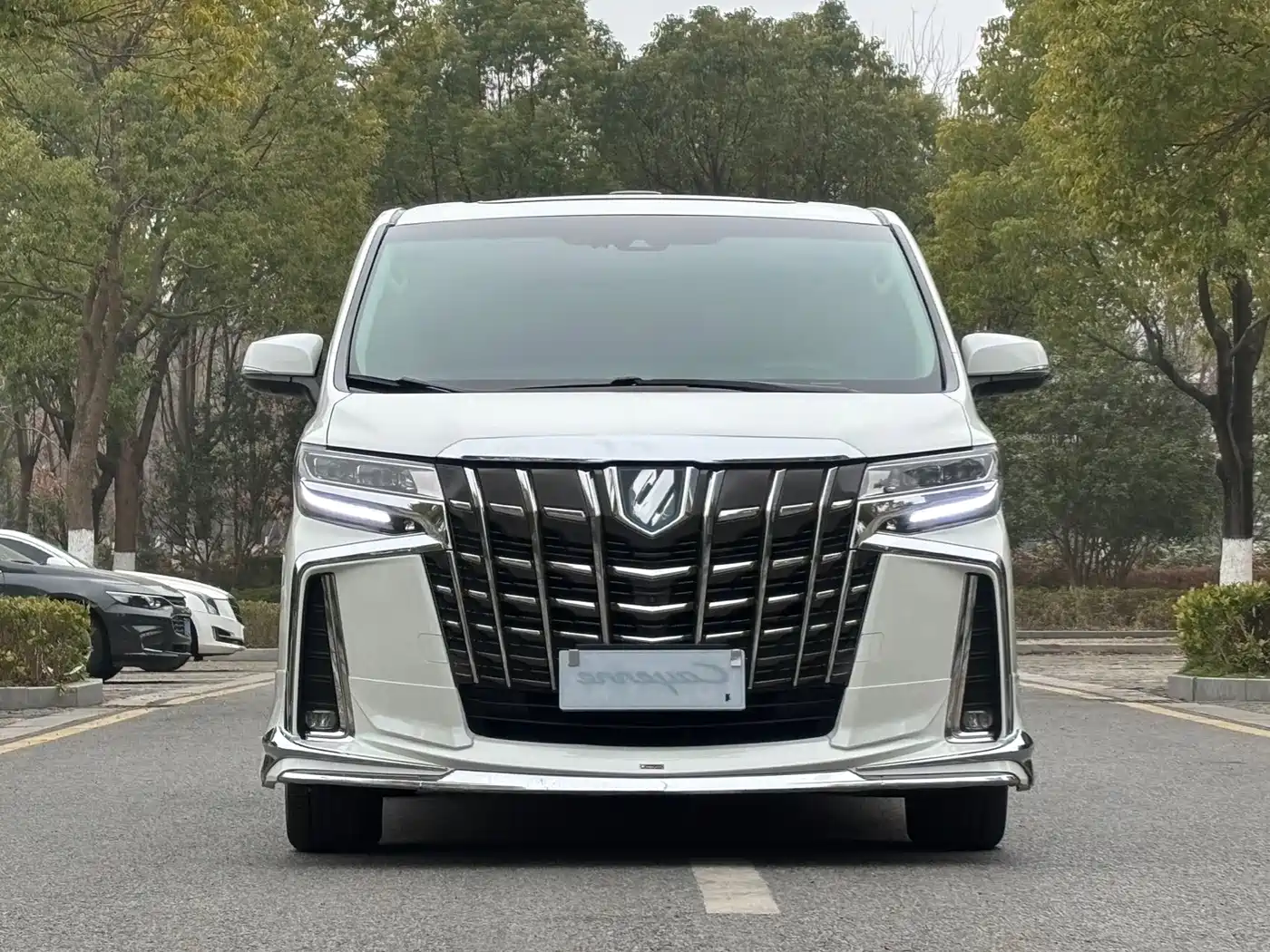 Toyota Alphard 2019 Hybrid 2.5L Luxury фото 2