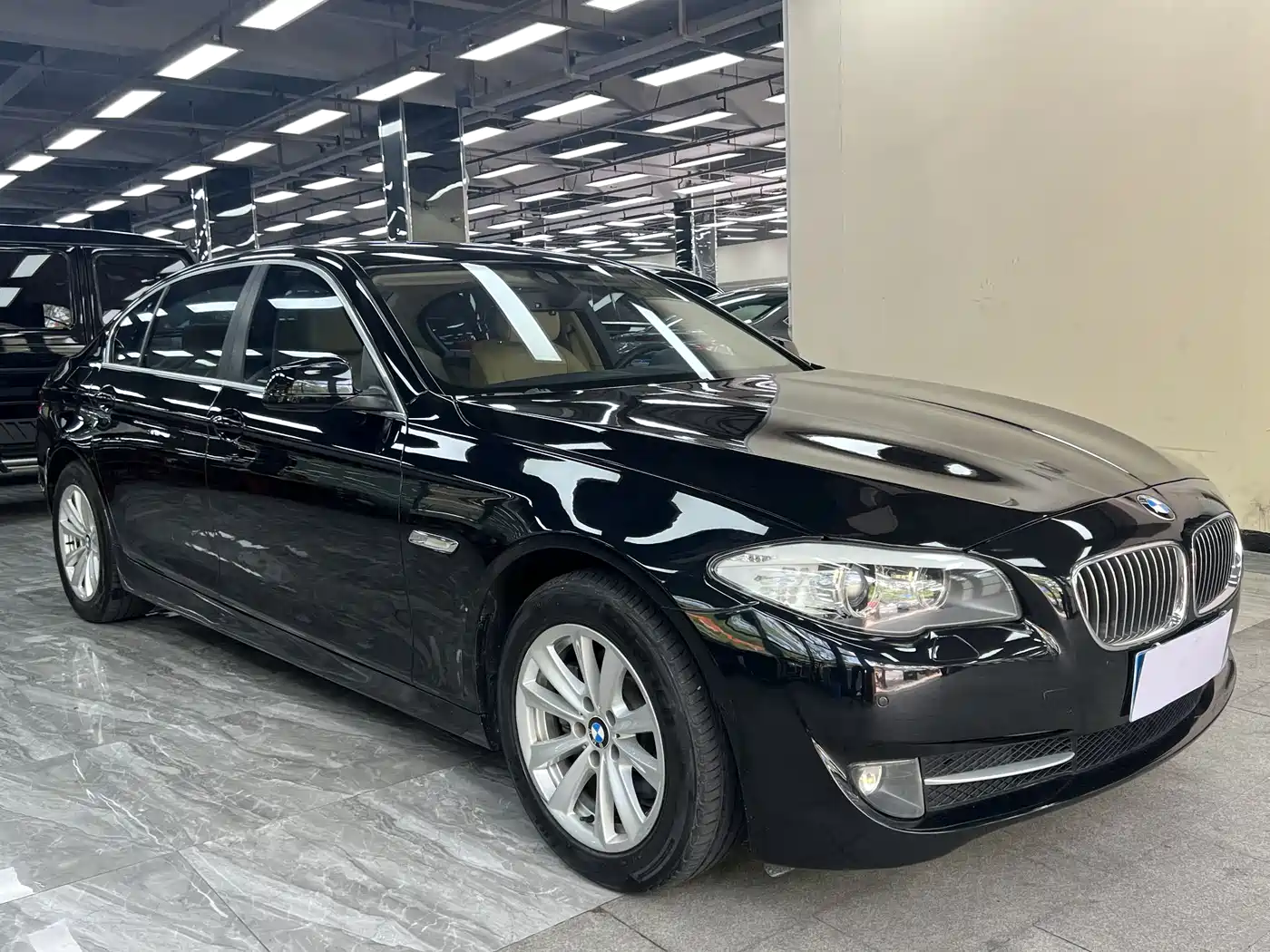 BMW 5 Series 2013 525Li Luxury фото 8