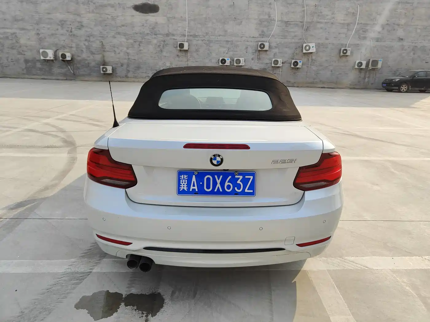 BMW 2 Series (Import) 2019 225i Convertible Coupe Sport Design Package фото 14