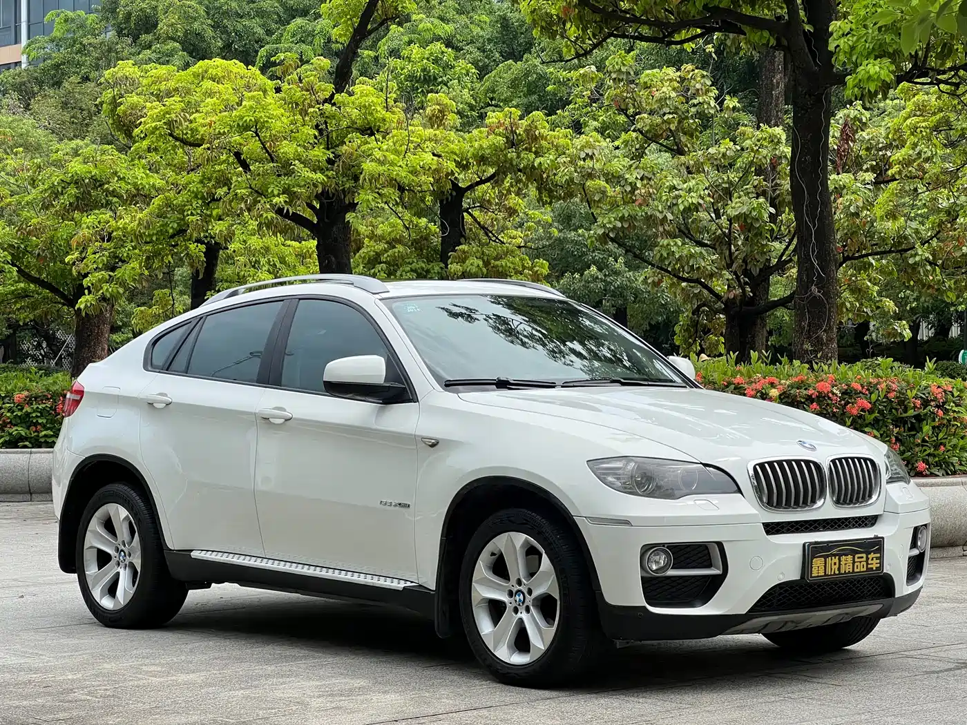BMW X6 2013 xDrive35i фото 3