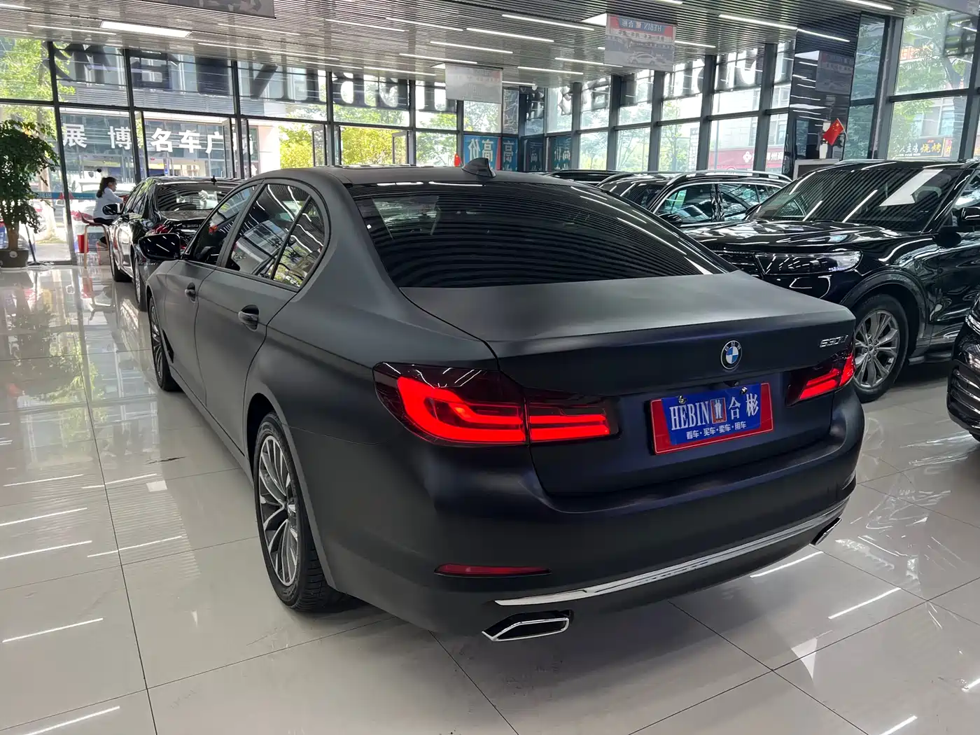 BMW 5 Series 2018 530Li Leading Luxury Package фото 8