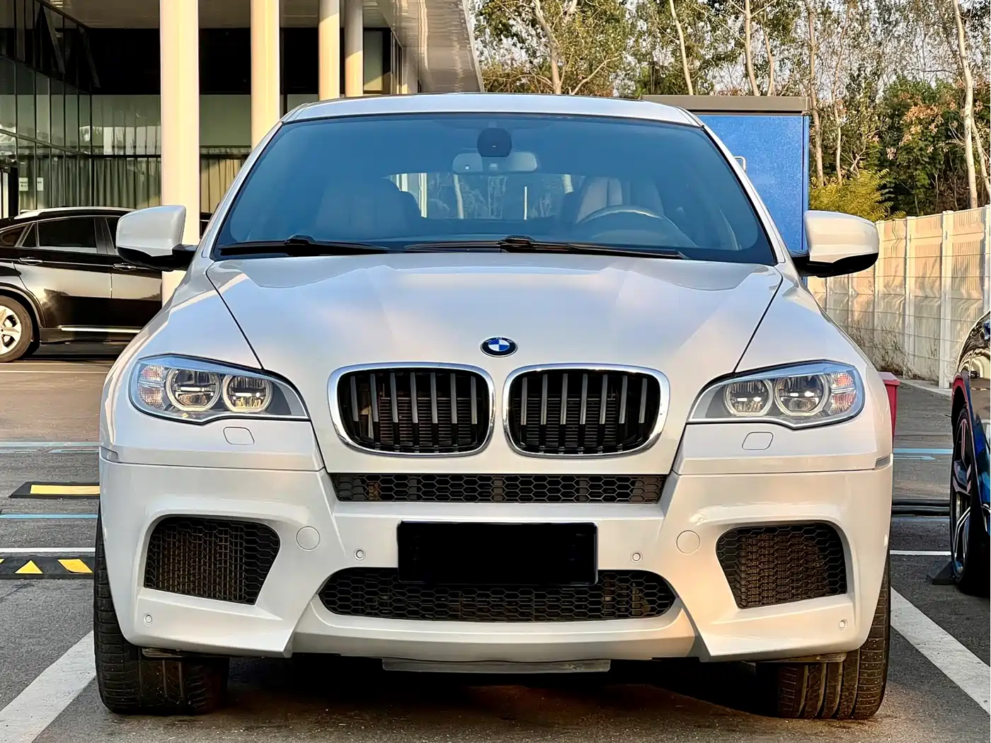 BMW X6 M 2013 X6 M фото 29