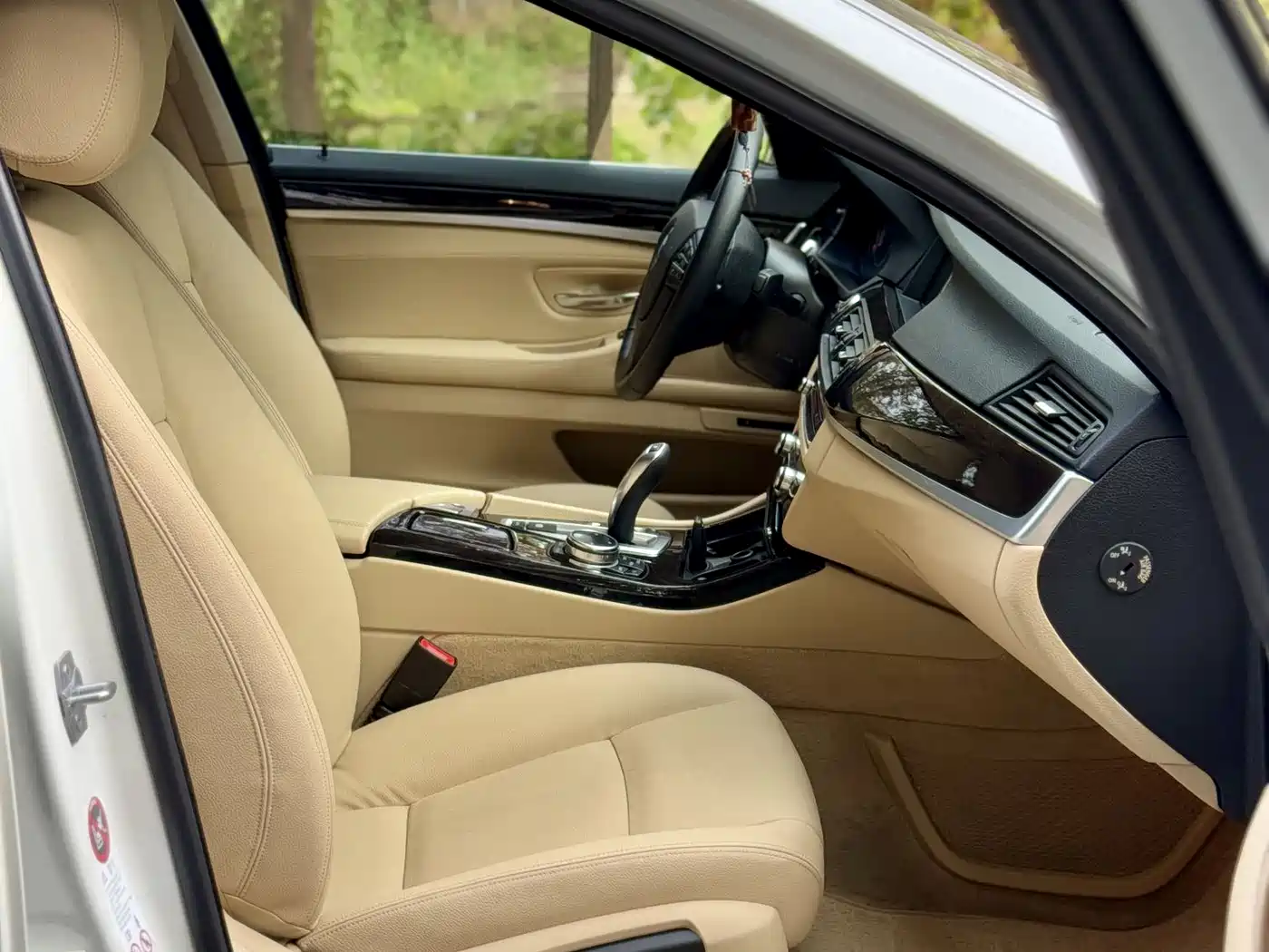 BMW 5 Series 2014 530Li Leading фото 15