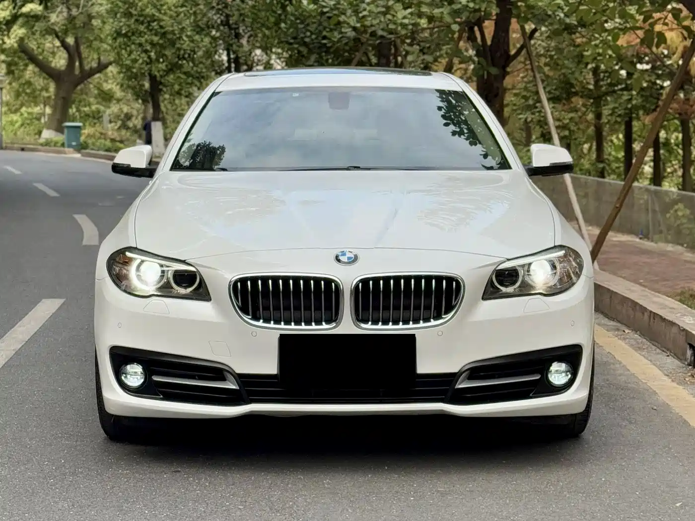 BMW 5 Series 2014 530Li Leading фото 5