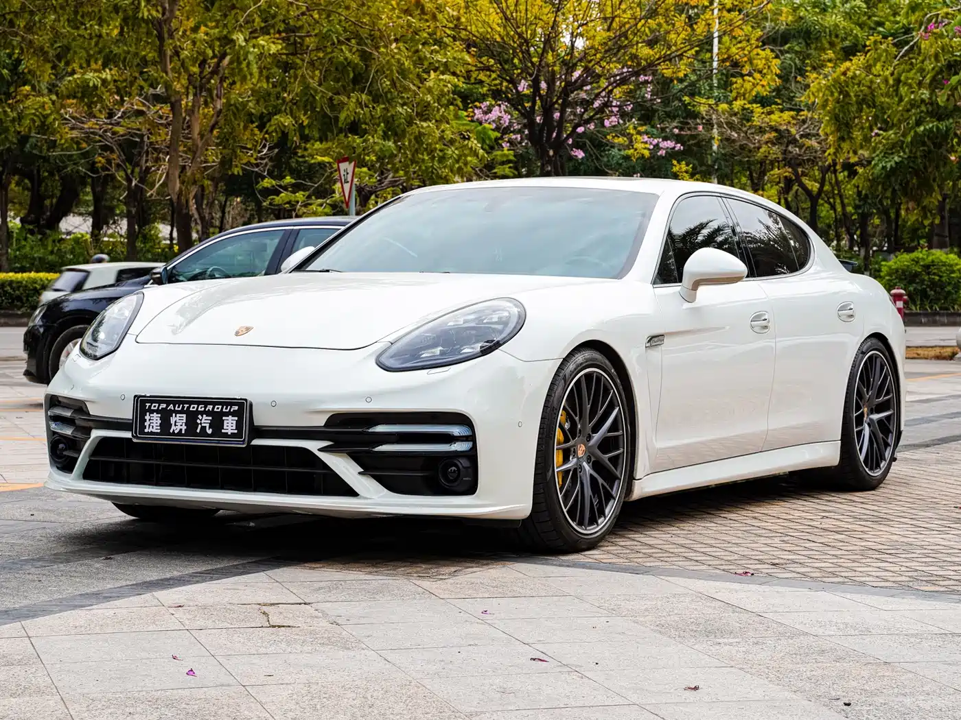 Porsche Panamera 2013 Panamera Platinum Edition 3.6L фото 3