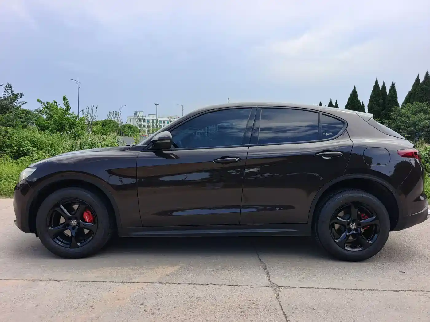 Alfa Romeo Stelvio 2019 2017 2.0T 200HP Elite