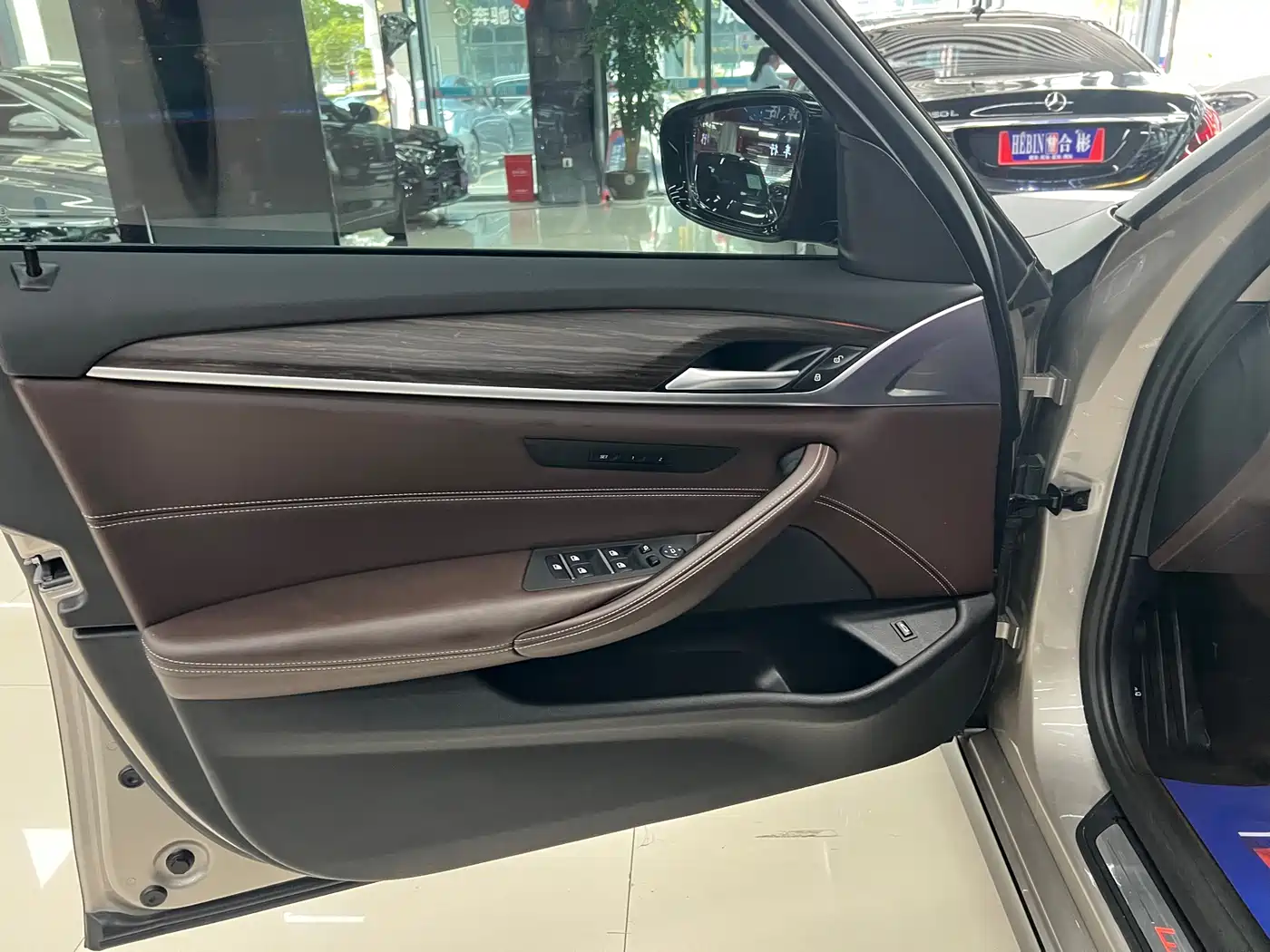 BMW 5 Series 2018 530Li Leading Luxury Package фото 10