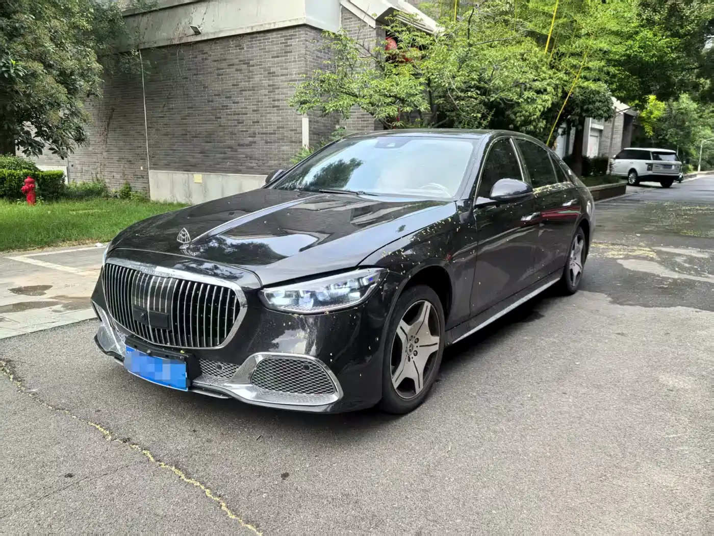 Mercedes-Benz S-Class 2010 S 300 L Business