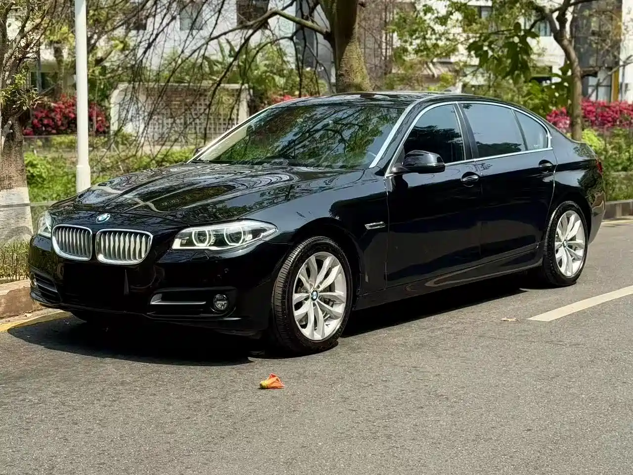 BMW 5 Series 2015 535Li Leading