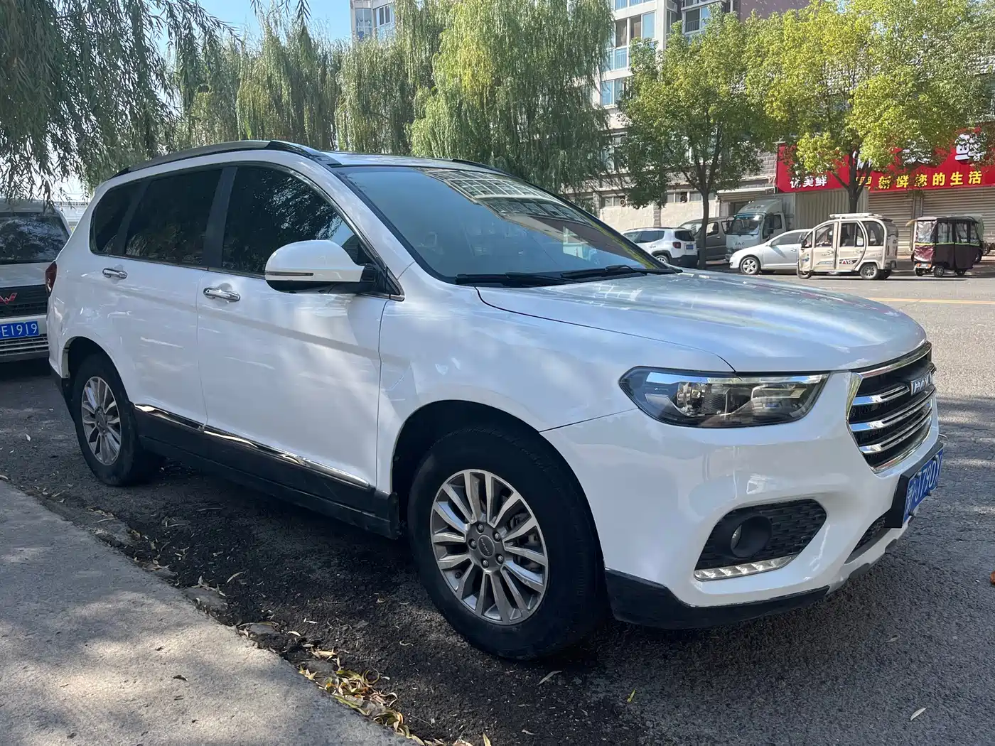 Haval H6 2017 Blue Label Sport 1.5T Auto 2WD Luxury фото 3