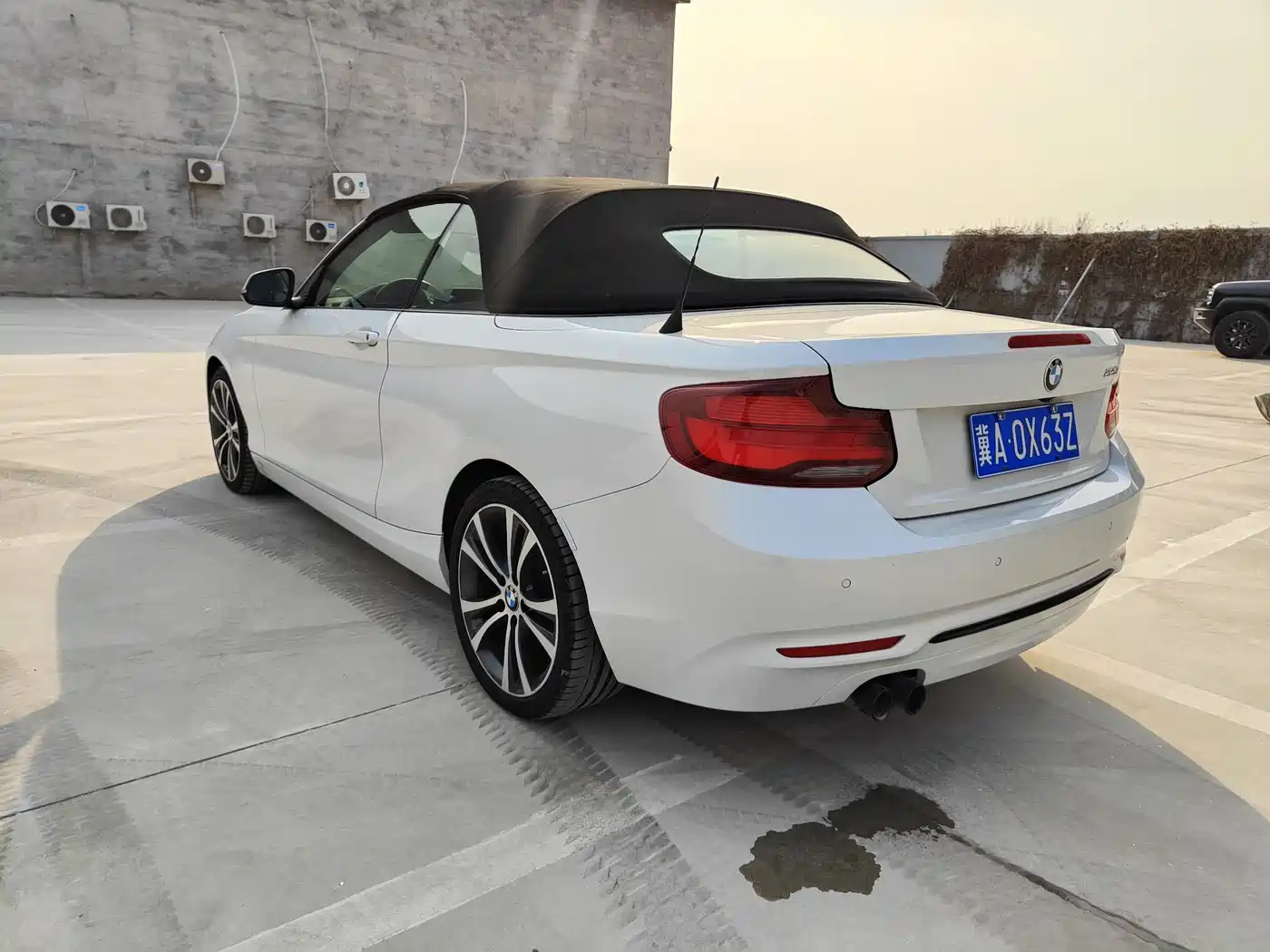 BMW 2 Series (Import) 2019 225i Convertible Coupe Sport Design Package фото 13