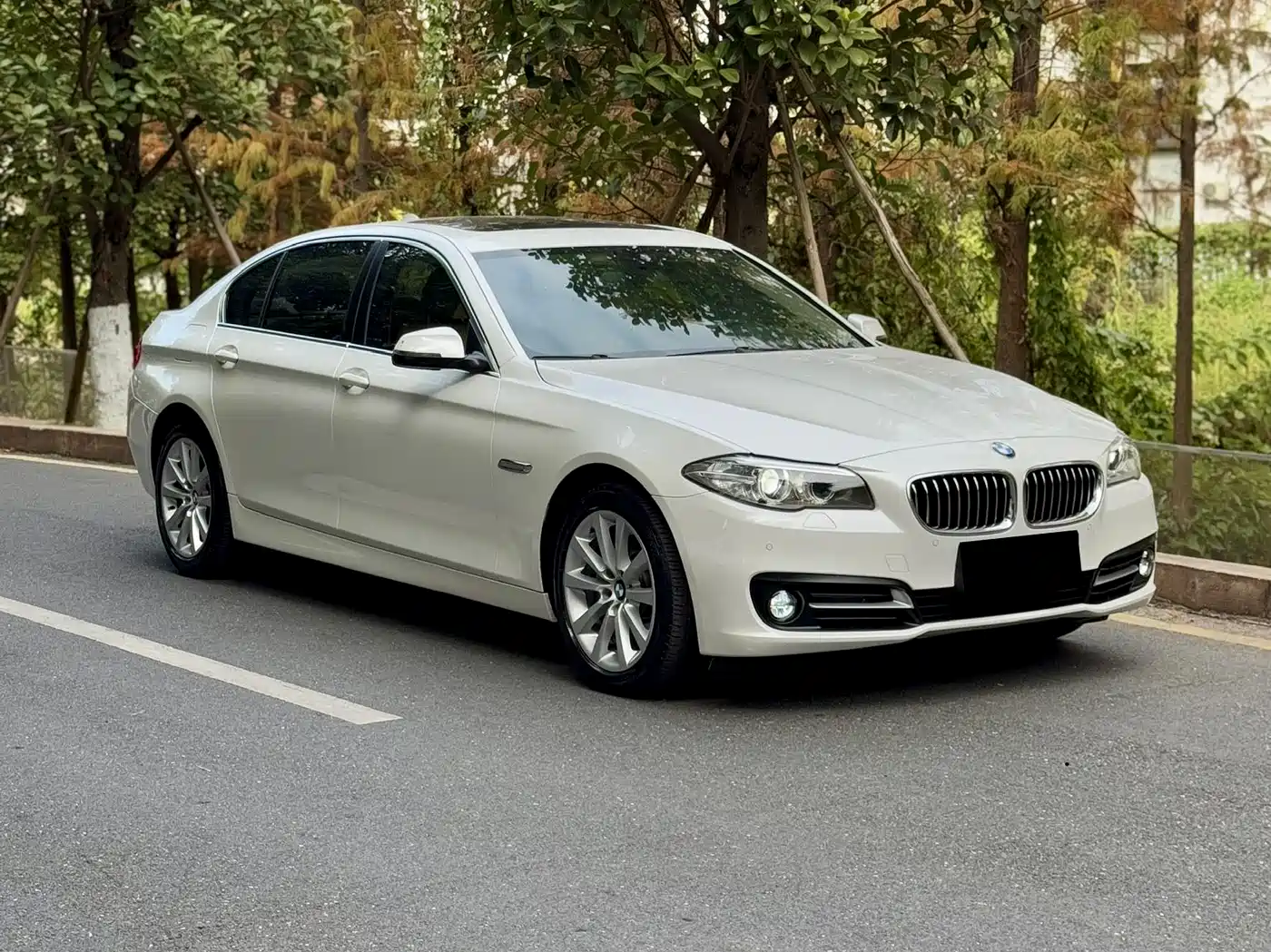 BMW 5 Series 2014 530Li Leading фото 2